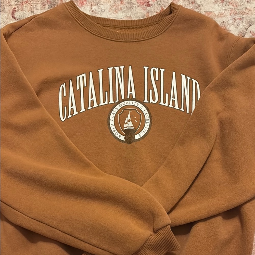 Hollister Brown Crew Neck Sweater Catalina Island